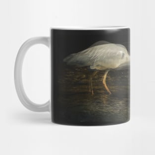 WE ALL HAVE FISH TO THINK ABOUT... Mug